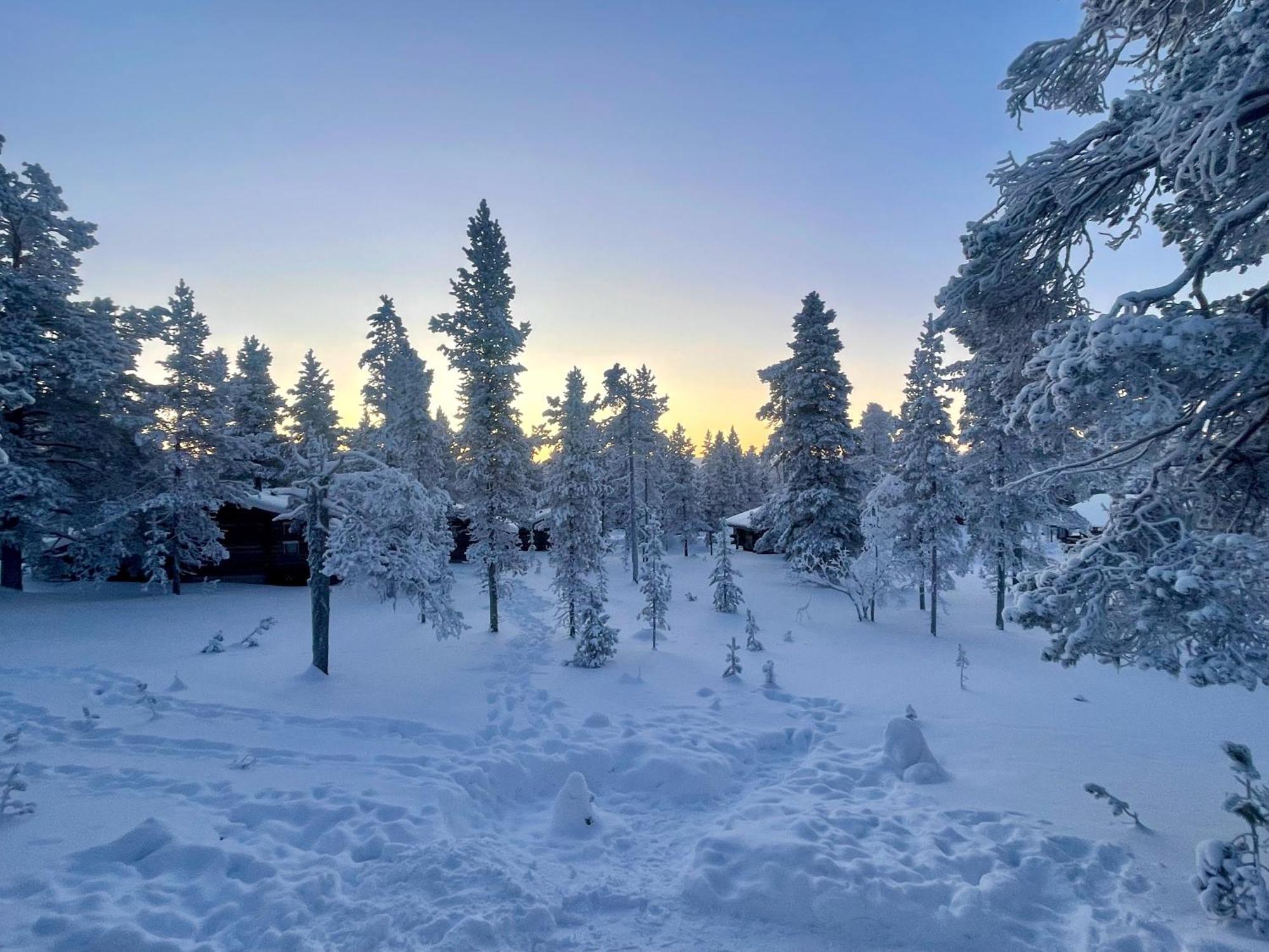 Arctic Log Cabins Saariselka Exterior foto